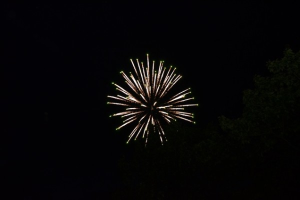 dsc-01649467F13B-58B4-07A4-0136-047A4334EC28.jpg