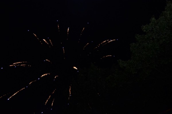 dsc-01698D29115D-CA87-58F6-F818-0D1687B6CEEC.jpg