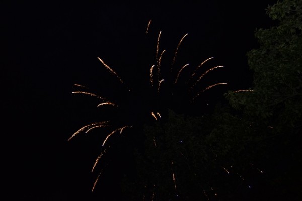 dsc-0174D973B6FB-D0E4-A693-E7B9-9EE93C25DADD.jpg