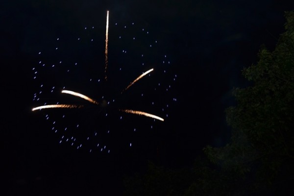 dsc-01802990852C-7D64-2DF5-D78D-3815BC132EC4.jpg